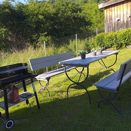 Apartament W Pieninach Kroscienko nad Dunajcem Bagian luar foto
